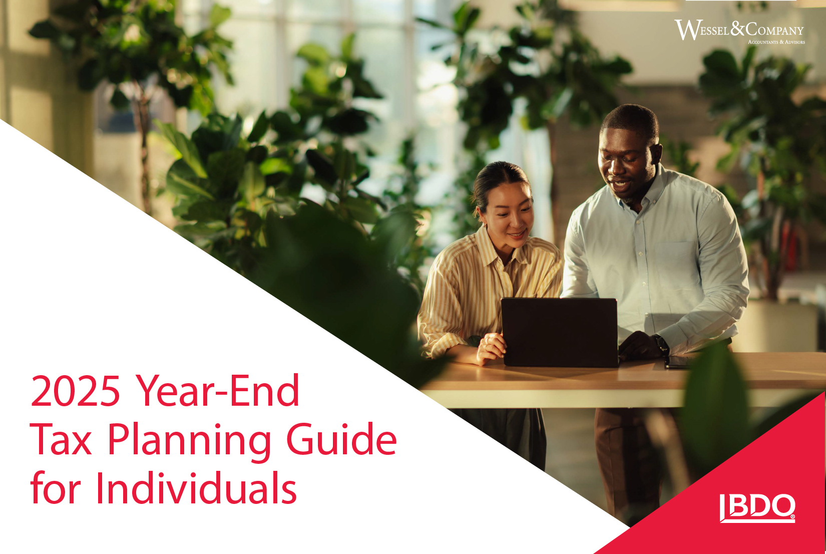 2025 Year-End Tax Planning Guide for Individuals